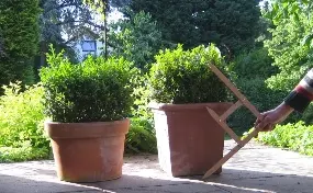 beregnungsanlagen-koeln-hinweis-gartengestaltung-goldenerschnitt